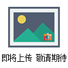 DVM-1000美國PHASE II測(cè)振儀